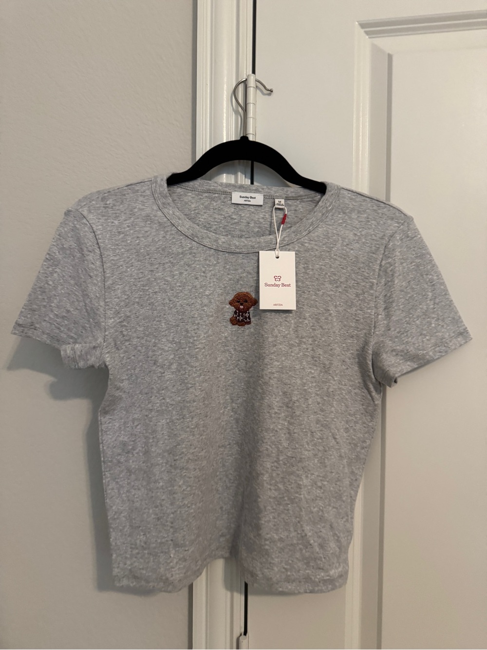 Aritzia Besthug™ Little Ribbed Icon T-Shirt size M Hthr Chrm/ Ar Crmc Dog
